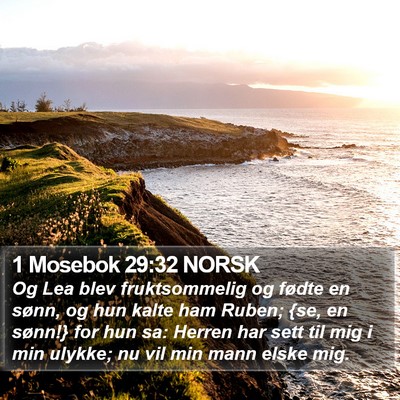 1 Mosebok 29:32 NORSK Bible Verse Image