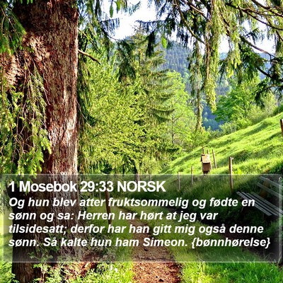 1 Mosebok 29:33 NORSK Bible Verse Image