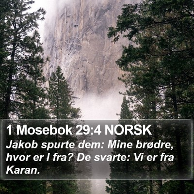 1 Mosebok 29:4 NORSK Bible Verse Image