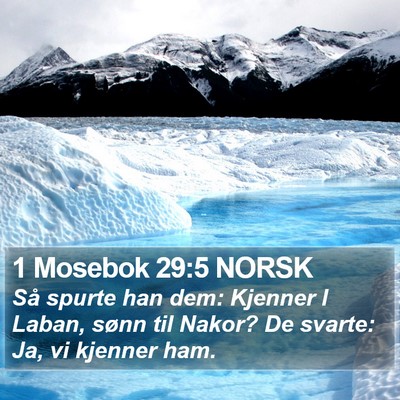 1 Mosebok 29:5 NORSK Bible Verse Image