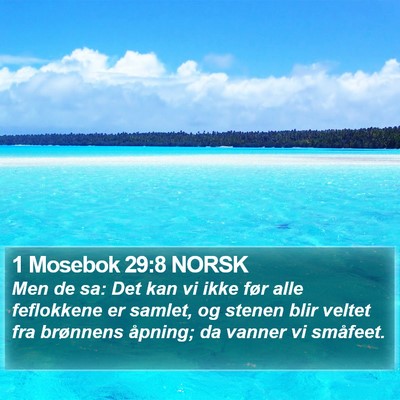 1 Mosebok 29:8 NORSK Bible Verse Image