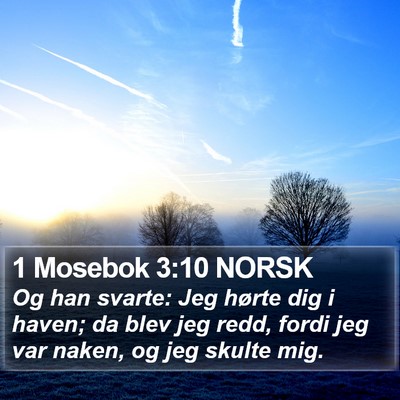 1 Mosebok 3:10 NORSK Bible Verse Image