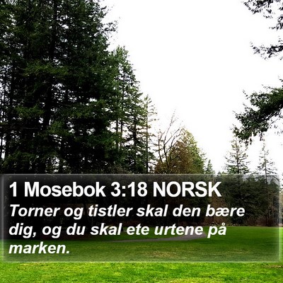 1 Mosebok 3:18 NORSK Bible Verse Image