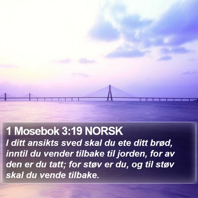 1 Mosebok 3:19 NORSK Bible Verse Image