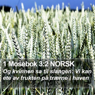 1 Mosebok 3:2 NORSK Bible Verse Image