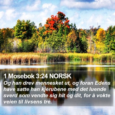 1 Mosebok 3:24 NORSK Bible Verse Image