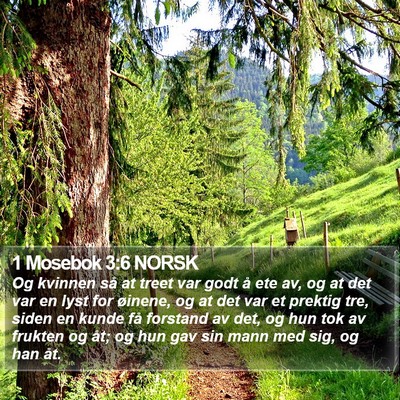 1 Mosebok 3:6 NORSK Bible Verse Image