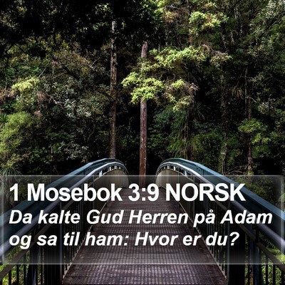 1 Mosebok 3:9 NORSK Bible Verse Image