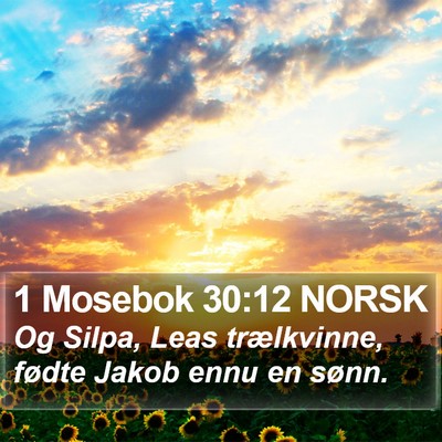 1 Mosebok 30:12 NORSK Bible Verse Image
