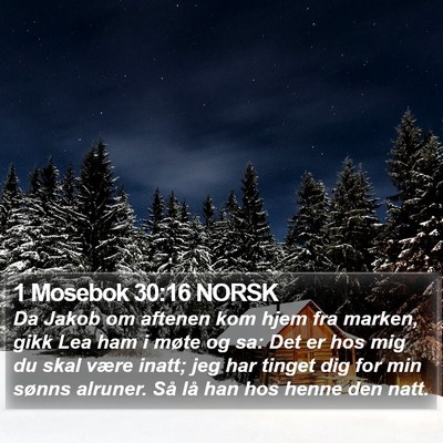 1 Mosebok 30:16 NORSK Bible Verse Image