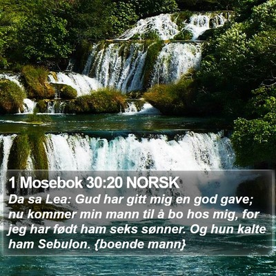 1 Mosebok 30:20 NORSK Bible Verse Image