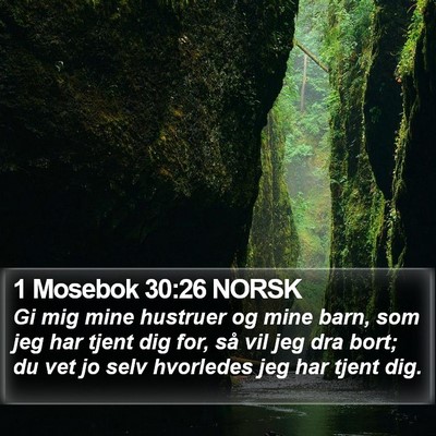 1 Mosebok 30:26 NORSK Bible Verse Image