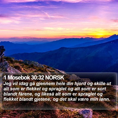 1 Mosebok 30:32 NORSK Bible Verse Image