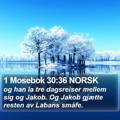1 Mosebok 30:36 NORSK Bible Verse Image