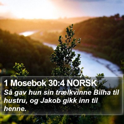 1 Mosebok 30:4 NORSK Bible Verse Image