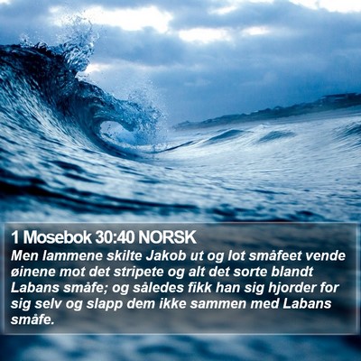 1 Mosebok 30:40 NORSK Bible Verse Image