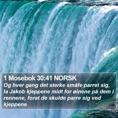 1 Mosebok 30:41 NORSK Bible Verse Image