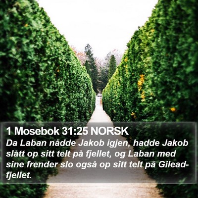 1 Mosebok 31:25 NORSK Bible Verse Image