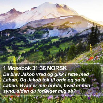 1 Mosebok 31:36 NORSK Bible Verse Image