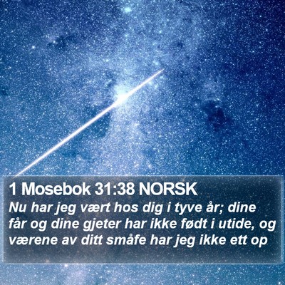 1 Mosebok 31:38 NORSK Bible Verse Image