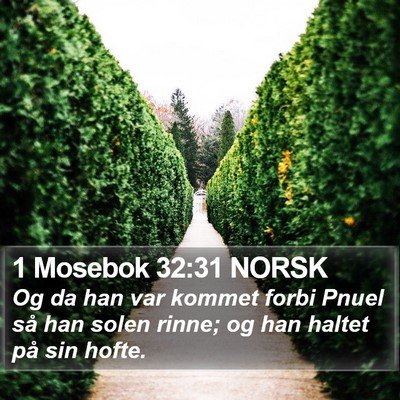 1 Mosebok 32:31 NORSK Bible Verse Image