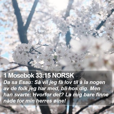 1 Mosebok 33:15 NORSK Bible Verse Image