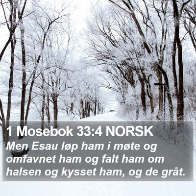 1 Mosebok 33:4 NORSK Bible Verse Image