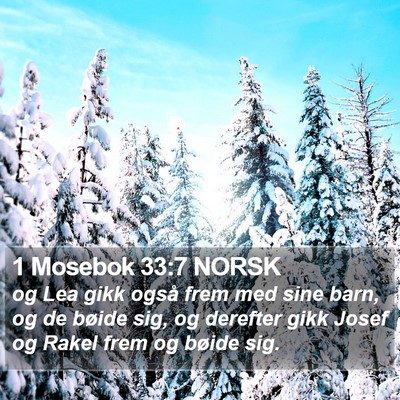 1 Mosebok 33:7 NORSK Bible Verse Image