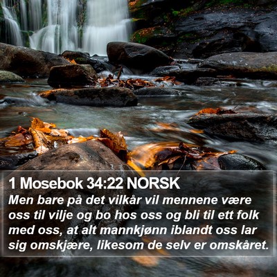 1 Mosebok 34:22 NORSK Bible Verse Image