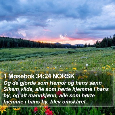 1 Mosebok 34:24 NORSK Bible Verse Image
