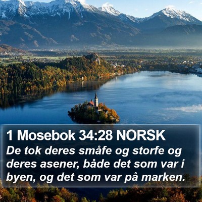 1 Mosebok 34:28 NORSK Bible Verse Image