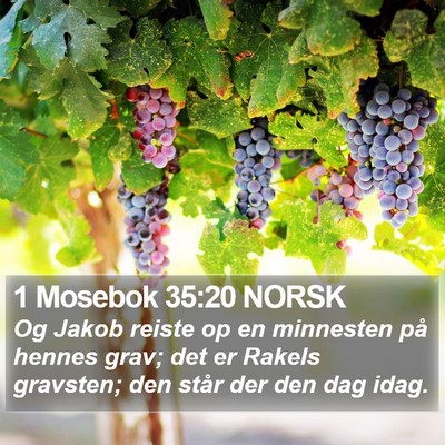 1 Mosebok 35:20 NORSK Bible Verse Image