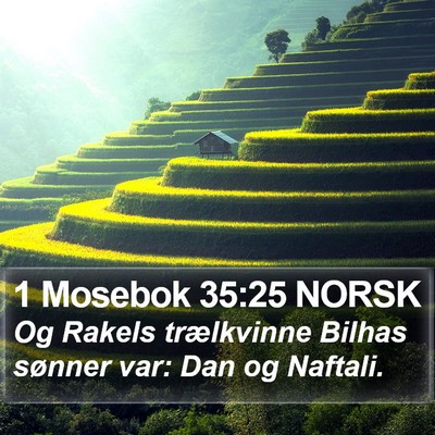 1 Mosebok 35:25 NORSK Bible Verse Image
