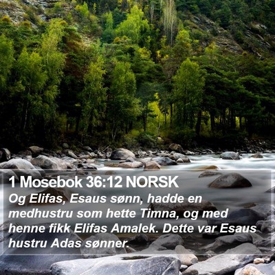 1 Mosebok 36:12 NORSK Bible Verse Image