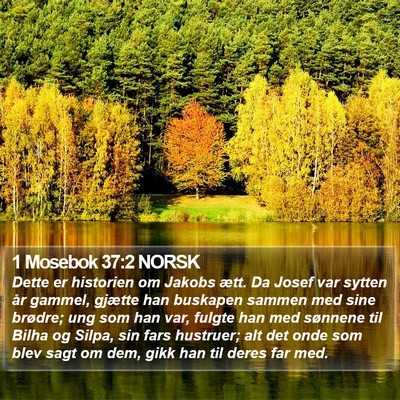 1 Mosebok 37:2 NORSK Bible Verse Image