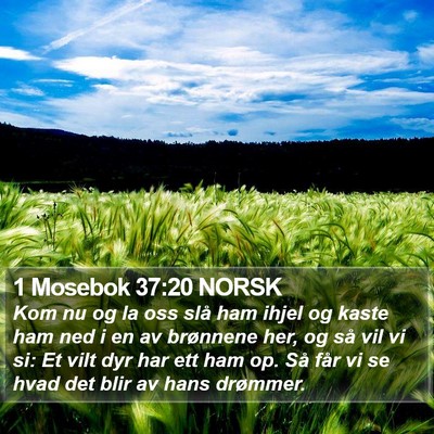 1 Mosebok 37:20 NORSK Bible Verse Image