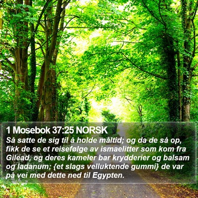 1 Mosebok 37:25 NORSK Bible Verse Image