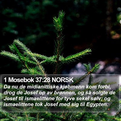 1 Mosebok 37:28 NORSK Bible Verse Image