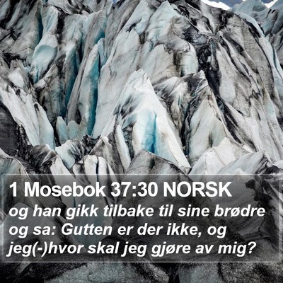 1 Mosebok 37:30 NORSK Bible Verse Image