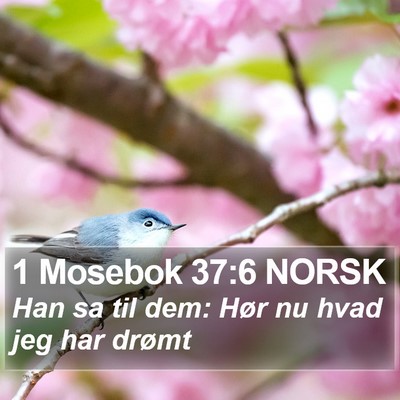 1 Mosebok 37:6 NORSK Bible Verse Image