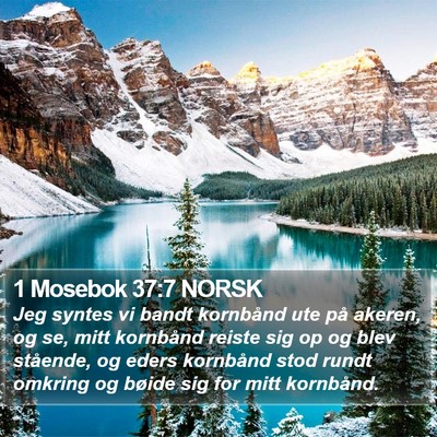 1 Mosebok 37:7 NORSK Bible Verse Image