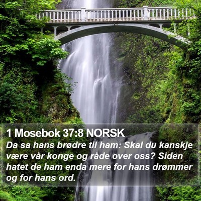 1 Mosebok 37:8 NORSK Bible Verse Image