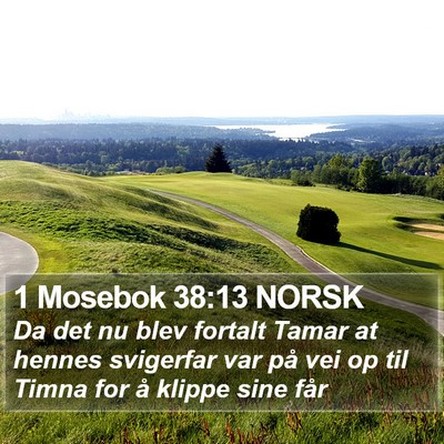 1 Mosebok 38:13 NORSK Bible Verse Image