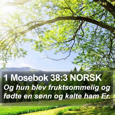 1 Mosebok 38:3 NORSK Bible Verse Image