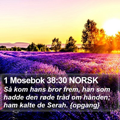 1 Mosebok 38:30 NORSK Bible Verse Image
