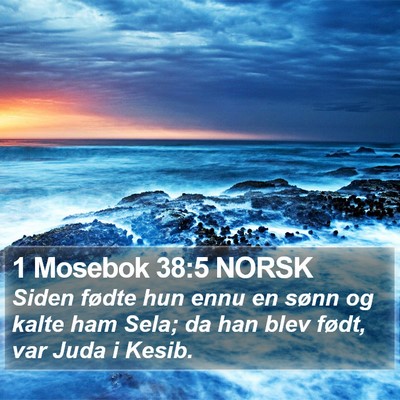 1 Mosebok 38:5 NORSK Bible Verse Image