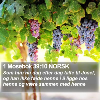 1 Mosebok 39:10 NORSK Bible Verse Image