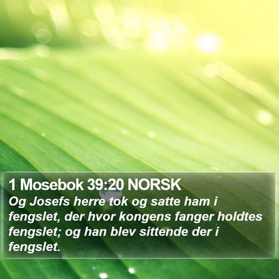 1 Mosebok 39:20 NORSK Bible Verse Image