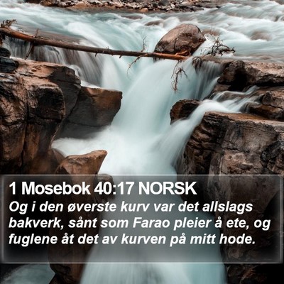 1 Mosebok 40:17 NORSK Bible Verse Image
