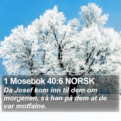 1 Mosebok 40:6 NORSK Bible Verse Image